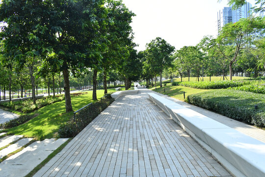 深圳前海公园里的人行道