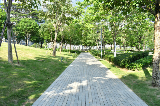 深圳前海公园里的径直人行道