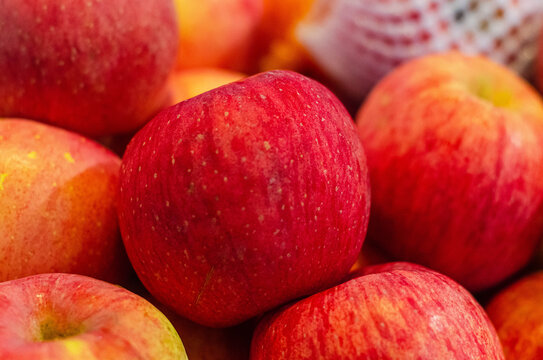 苹果水果食品农产品农作物