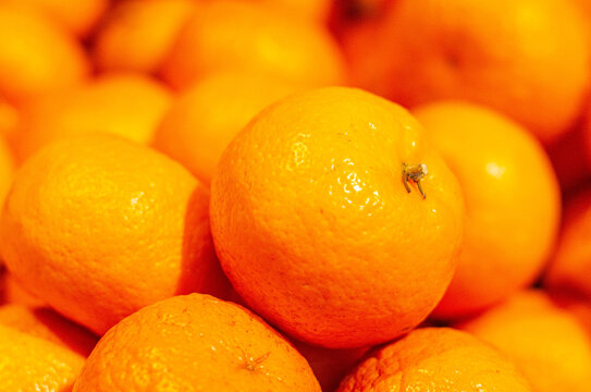 桔子沃柑橙子农产品水果