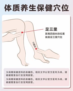 足三里手绘中医保健穴位