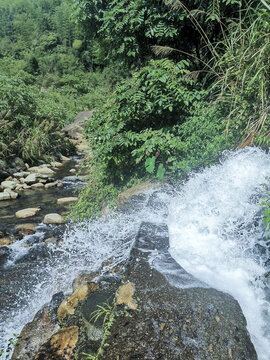 林中山泉