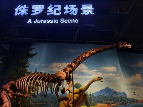 云南省自然博物馆恐龙展