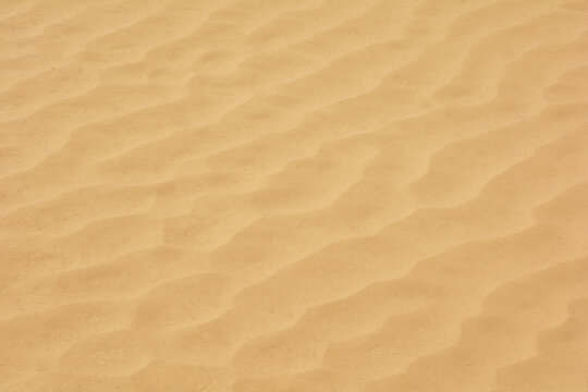 沙漠沙滩