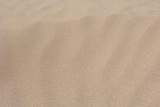 沙漠沙地