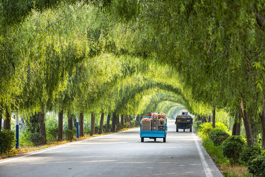 乡村最美公路