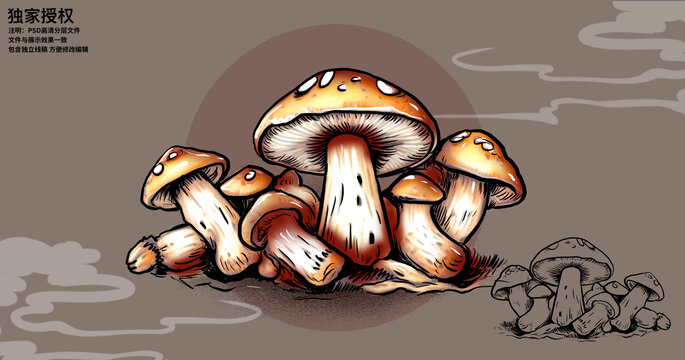 国风松茸菌菇手绘插画