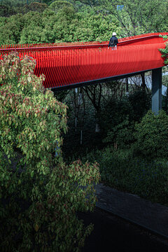 嘉兴西南湖生态公园网红桥