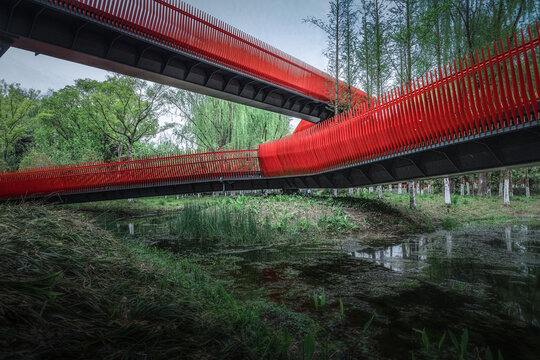 嘉兴西南湖生态公园网红桥