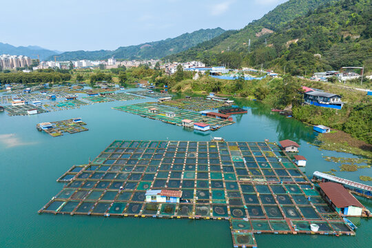 中国广西昭平大力发展网箱养鱼业