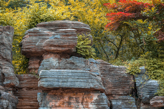 公园假山