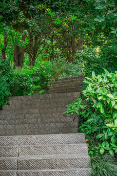 登山石阶台阶