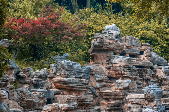 假山
