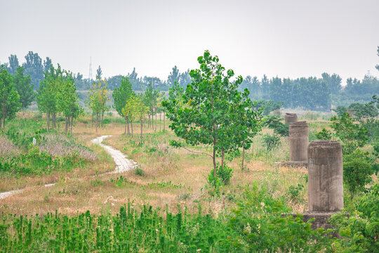 郊区小路
