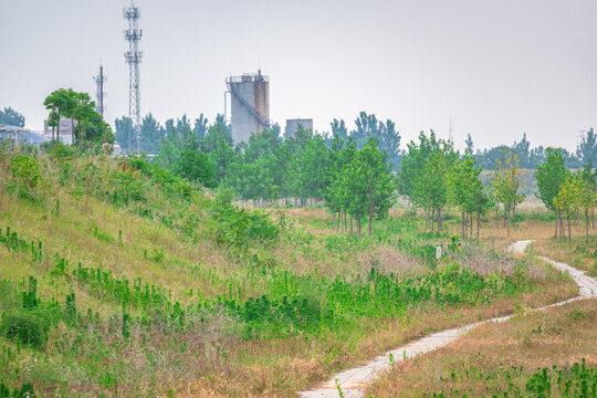 郊区小路