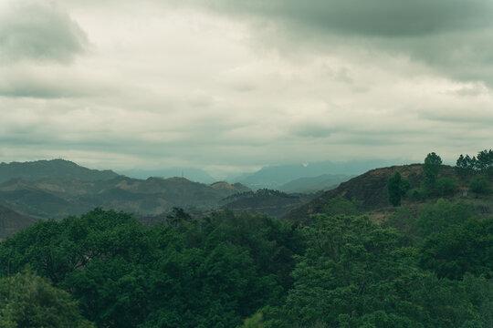 云雾下的森林和山