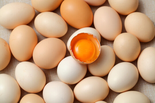 鸡蛋土鸡蛋笨鸡蛋鲜鸡蛋