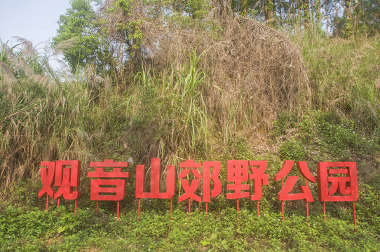 观音山郊野公园