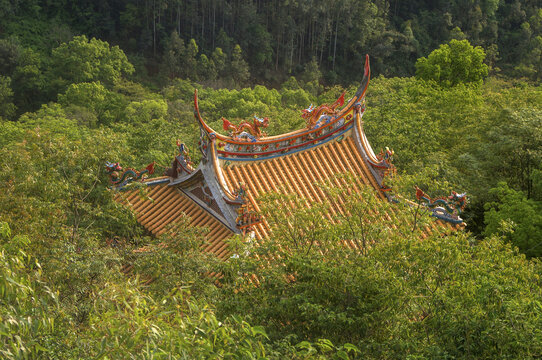 森林中的寺庙建筑