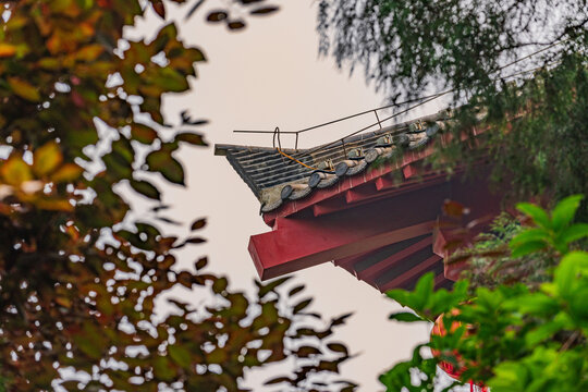 斗拱