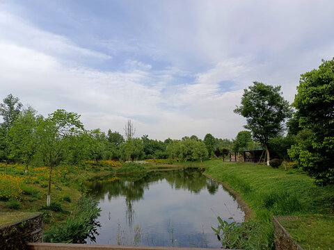 湿地公园风景
