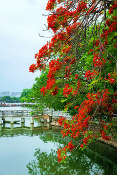 惠州西湖AAAAA级风景名胜区