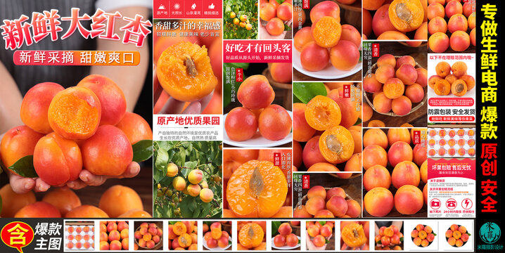 红杏详情页主图