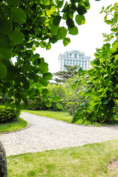 公园石子路
