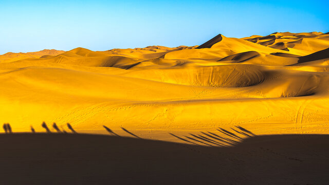 映在沙漠里的风景
