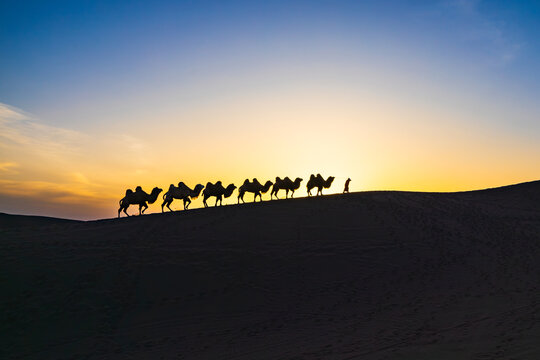 库木塔格沙漠黄昏暮归的驼队