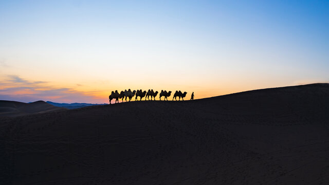 库木塔格沙漠黄昏暮归的驼队