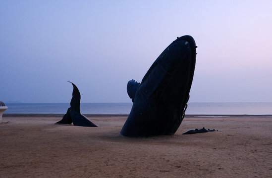 烟台孤独的鲸