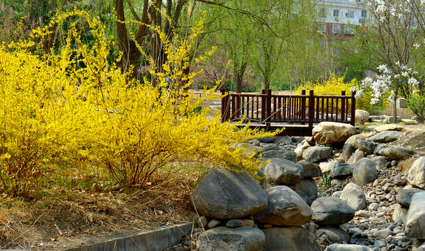 北京莲花池公园景观