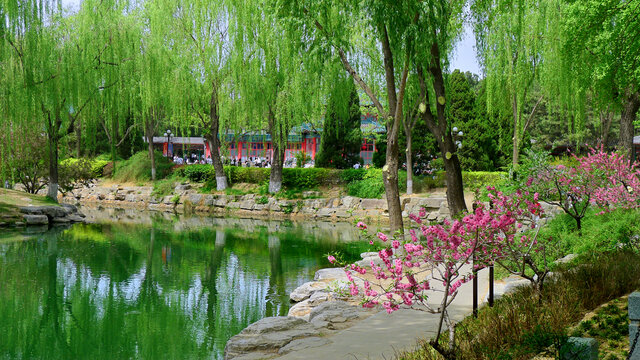 北京中山公园景观