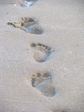 沙滩脚印