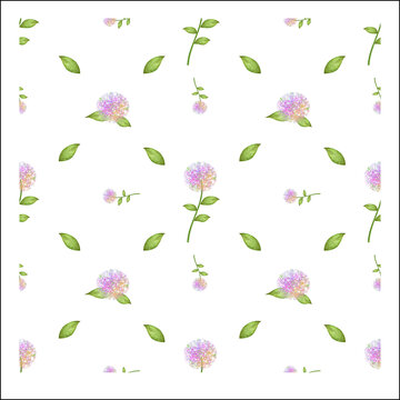 绣球花