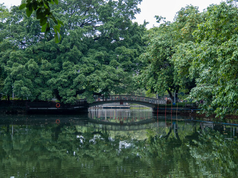 池塘倒影桥梁倒影绿色水塘树木