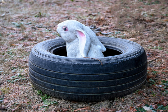 旧轮胎里的小兔子玩具