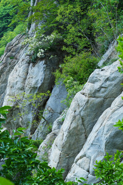 悬崖岩石背景