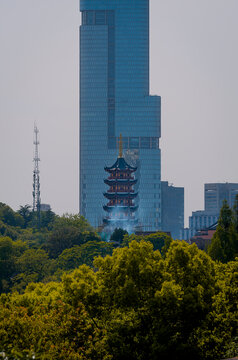 南京鸡鸣寺和紫峰大厦同框