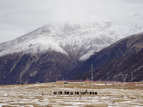 西藏雪山风光