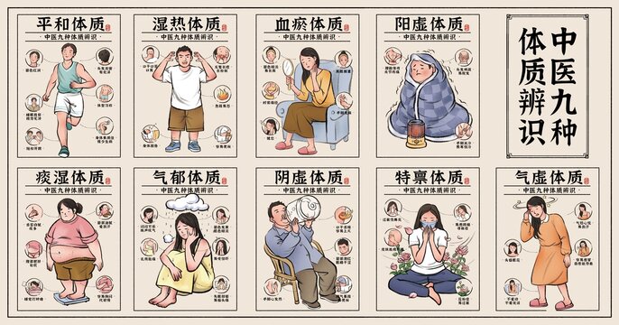 中医九种体质插画