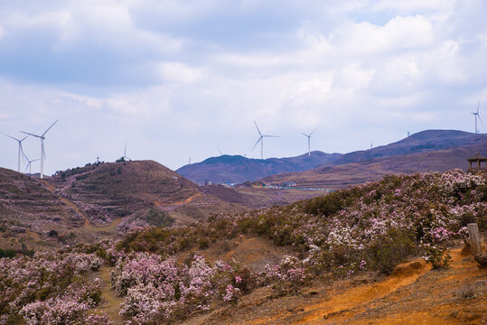 乌蒙山