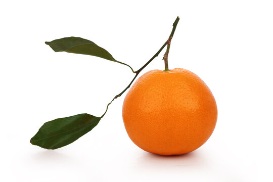 橘子果冻橙平视角白底图带叶