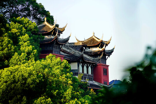 重庆南山森林古寺