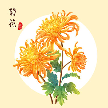 菊花
