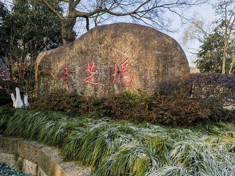 灵峰探梅
