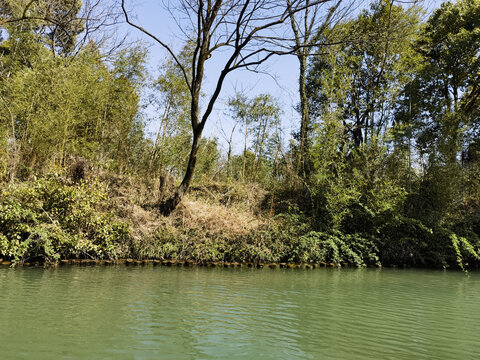 西溪湿地