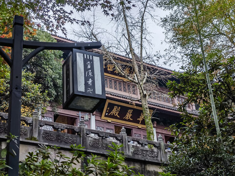西湖秋色
