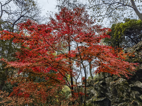 灵隐寺